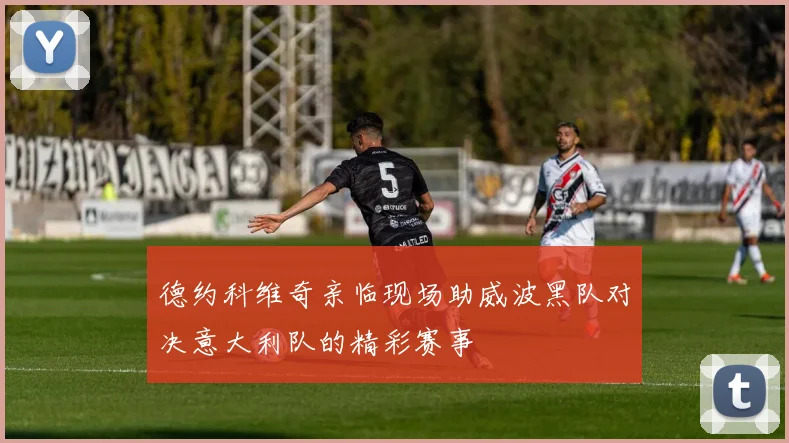 德约科维奇亲临现场助威波黑队对决意大利队的精彩赛事