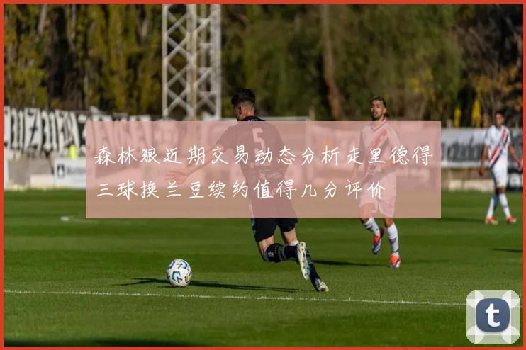 森林狼近期交易动态分析走里德得三球换兰豆续约值得几分评价