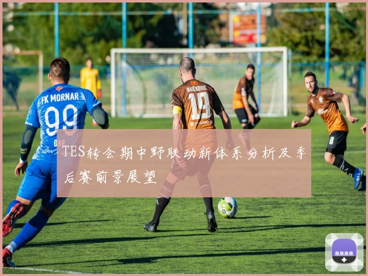 TES转会期中野联动新体系分析及季后赛前景展望
